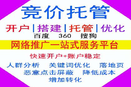 某行业巨头背后的SEM代运营托管公司